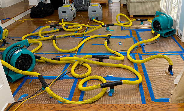 Professional Storm Water Damage Restoration technician working in Wharton, OH